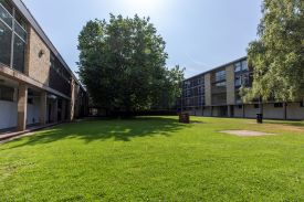 A courtyard with grass and trees, surrounded by modern residential buildings. One building has 2 storeys, and the building opposite has 4 storeys.