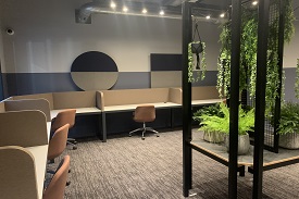 Study area with plants hanging down and individual pods with chairs.