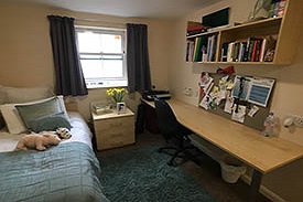 Bedroom containing a single bed, bedside table with storage, desk, chair and bin, with shelves above the desk