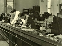 Students at work in the lab