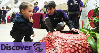 Young boy at Discover 2010