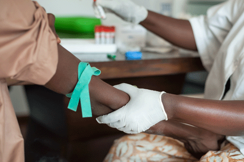ebola bluecrystal virus analysis