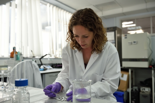 A woman conducts examines samples in a petri dish inside a lab at the University of Bristol.