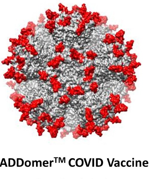 ADDomer™ COVID vaccine