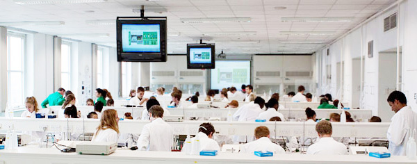 Students participating in a Biochemistry lab class.