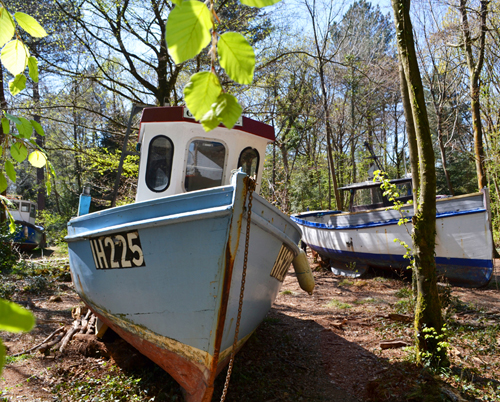 Withdrawn boats