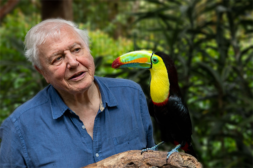 David Attenborough with a toucan