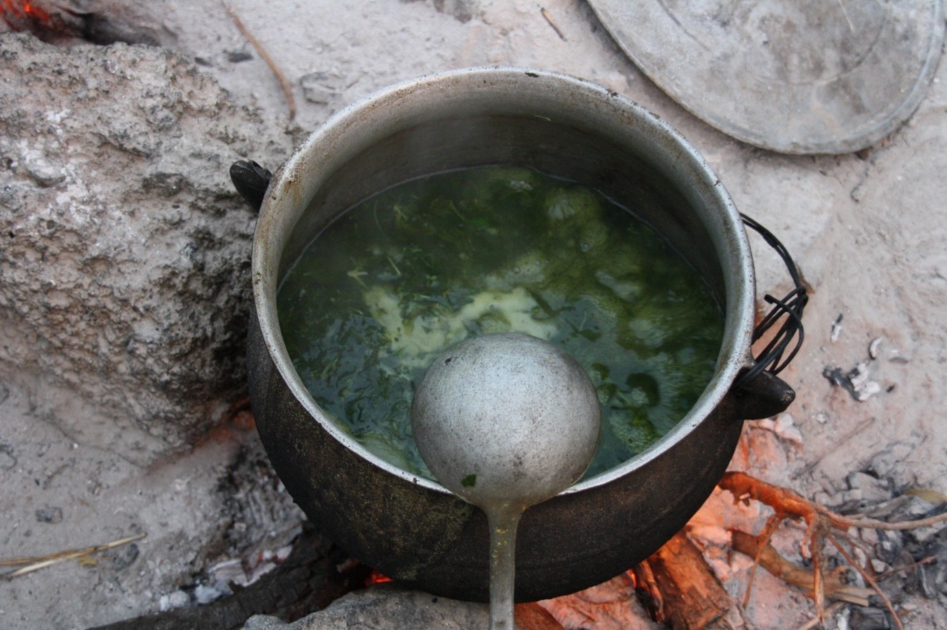 Image of a ‘slimy’ or mucilaginous sauce made with plant leaves