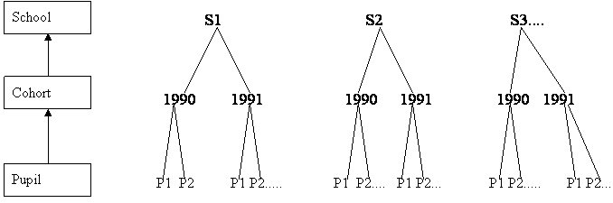 pupil-cohort-school