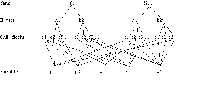 complex 4-level diagram showing 5 parent flocks at bottom, 12 child flocks, 4 houses and two farms at the top