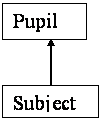 subject-pupil