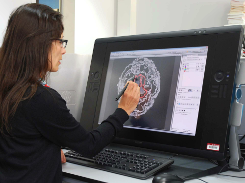 In the palaeobiology imaging lab, a woman uses a stylus to mark up an image on a large computer monitor