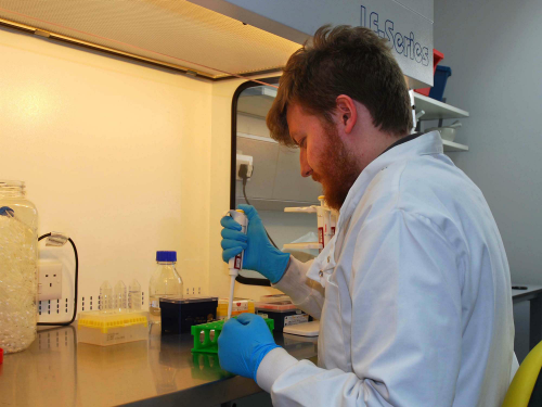 A man wearing a lab coat and gloves uses equipment in the molecular palaeobiology lab
