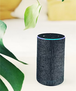 Photo of black Amazon Echo speaker