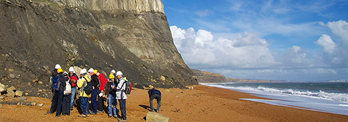 Field trip on a sandy beach with cliffs