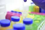 Close up blurry image of gloved hand holding a pipette over a specimen bottle/test tubes, which sits in a brightly coloured rack of similar containers.