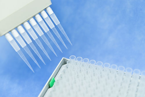 An image of multi-pipetting