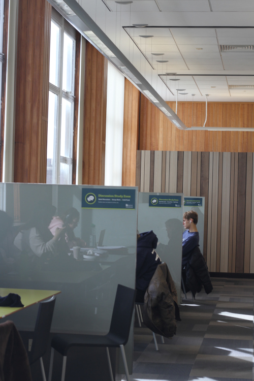 Students studying on desks with dividers between the desks for privacy, the desks are facing a sunny window. 