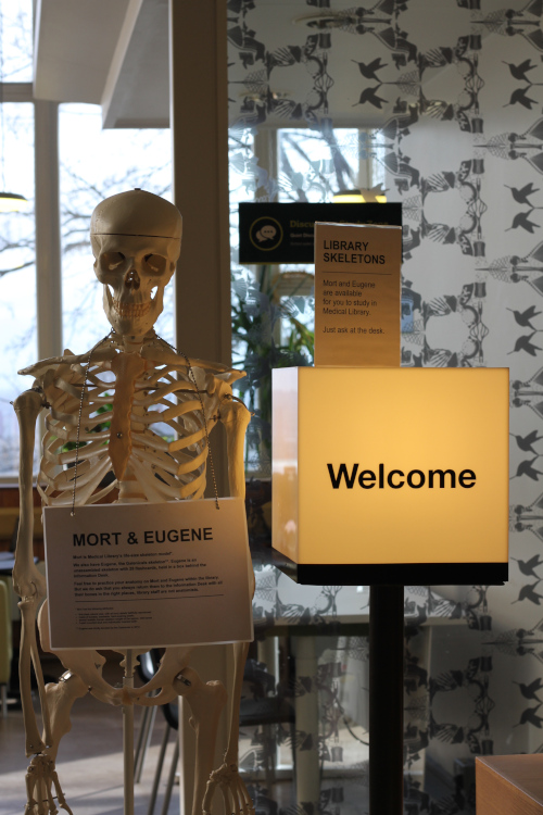 The lit up welcome sign for the medical library, to the left of the sign is a life size skeleton. 