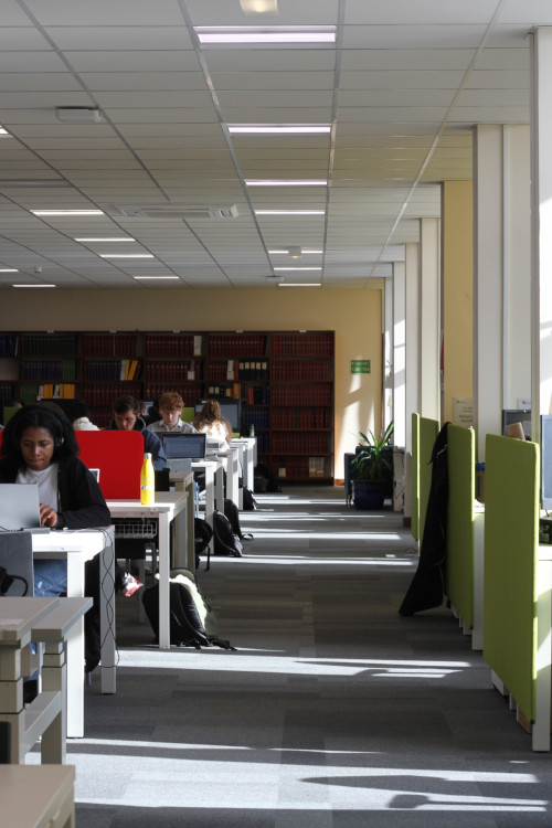 View down a corridor space with students working on desks on the left and window desk cubby spaces on the right. lots of sunlight coming in from the windows on the right. 