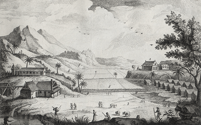 Illustration showing houses, huts and plantation, with people at work, against a background of mountains.