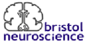 Bristol Neuroscience logo