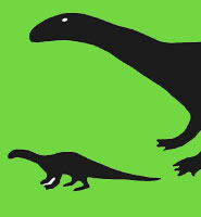 Thecodontosaurus (below) compared with Plateosaurus