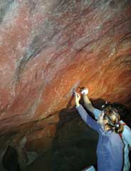 Bristol researchers carefully removing a thin layer of calcite formed over the main panel at Tito Bustillo cave, Asturias.