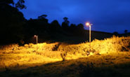 Lights were set up by the researchers along the bats' commuting routes