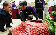 Chris Thorogood (right) with the life-sized model of Rafflesia at Discover in The Mall Bristol