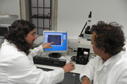 Dr Alistair Pike and Professor Mark Horton during the isotope analysis in the laboratories at Bristol