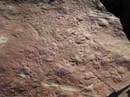 Fossil footprints on a 318-million-year-old dry riverbed