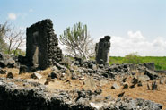 The Necropolis, or funerary mosque, at Songo Mnara