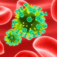 A 3D rendered image of the HIV virus
