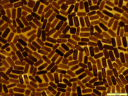 Gold nanoparticles can be used in medical diagnostic devices, such as pregnancy tests