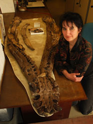 Dr Judyth Sassoon with the lower jaw of the Westbury pliosaur