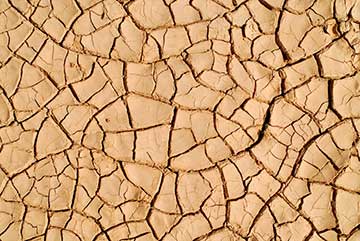 Image of some parched ground
