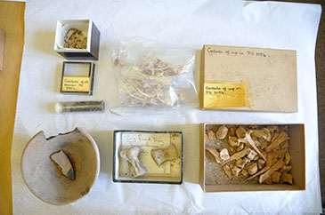 Image of some of the contents of the box 