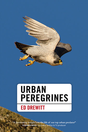 Image of the cover of Urban Peregrines