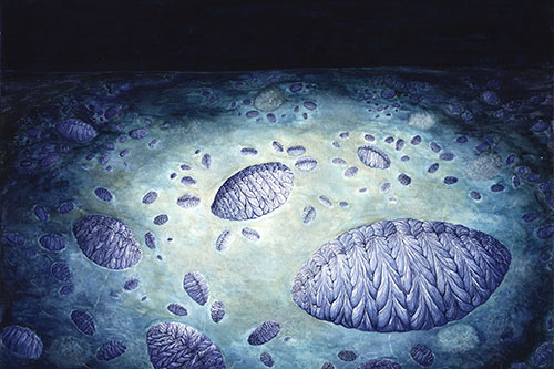Image of an artist's reconstruction of the Fractofusus community on the H14 surface at Bonavista Peninsula showing the clusters that arise from stolon-like reproduction 