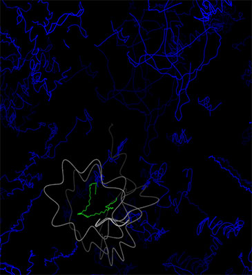 Image of the trace of motions of all atoms in the solvent and solute molecules immediately following reaction of fluorine (in green) with deuterated acetonitrile to make a deuterium fluoride molecule  