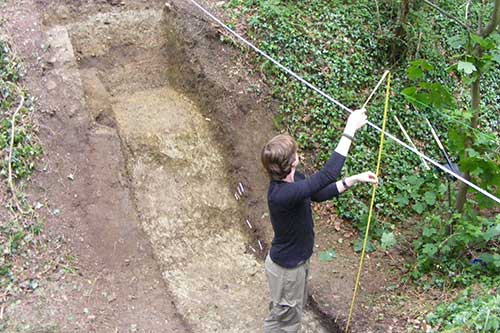 Image of the Hogs Wood excavations