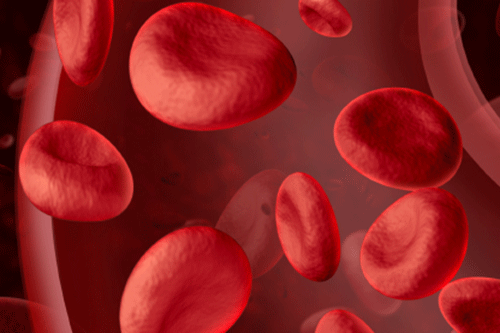 Generic illustration of blood cells