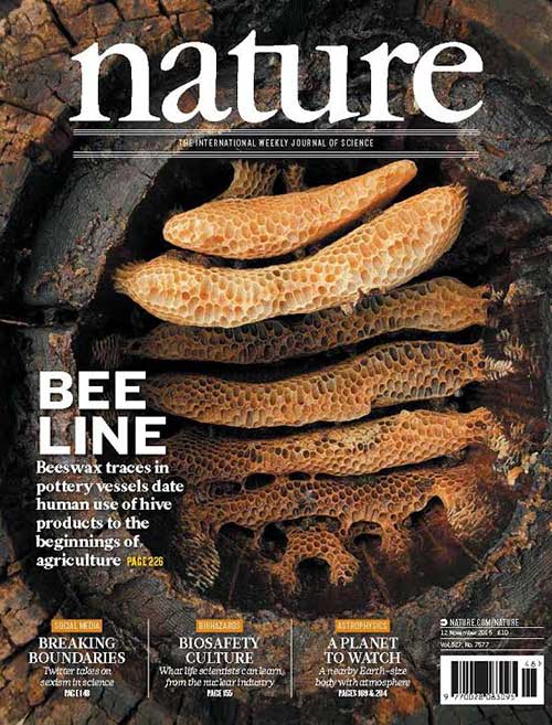 Image of honeybee research on front cover of Nature