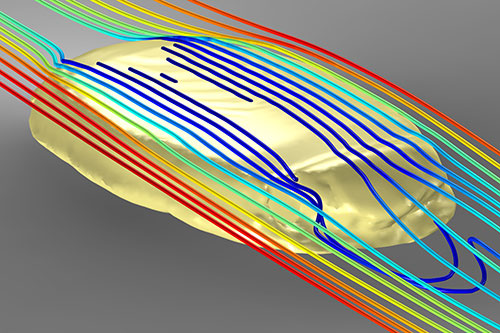 Image of a computer simulation of water flow around a 3-D model of Protocinctus mansillaensis. 