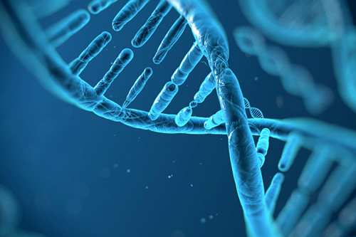 Generic image of a DNA sequence