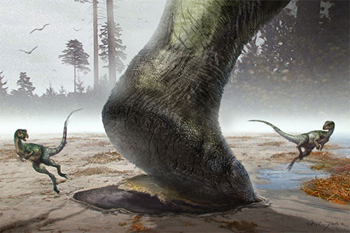 Image of a drawing of a sauropod making a footprint