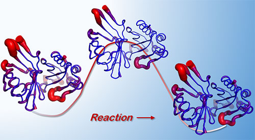 Image of enzyme reaction
