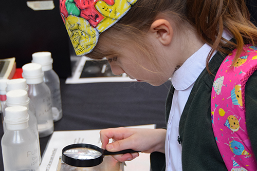 A school pupil looking at an exhibit at a past Bristol Neuroscience Festival