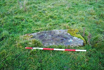 Image of the recumbent cupmarked stone 